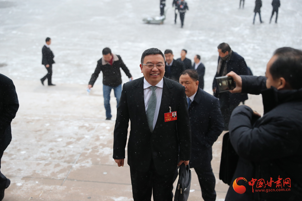 【聚焦2020甘肅兩會】“兩會”代表、委員風(fēng)采掠影（組圖）