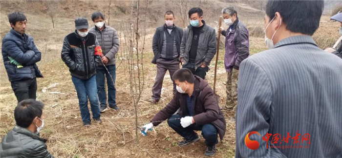 【甘肅全民戰(zhàn)“疫”】隴南徽縣：花椒田里培訓(xùn)忙，戰(zhàn)疫春耕兩不誤