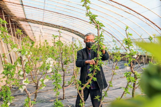 銅城復(fù)蘇：春光明媚，邀你共賞芳華（組圖）