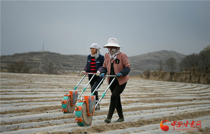 【甘肅省決戰(zhàn)決勝脫貧攻堅(jiān)】蘭州榆中：加快農(nóng)業(yè)產(chǎn)業(yè)轉(zhuǎn)型升級帶動(dòng)群眾增收致富