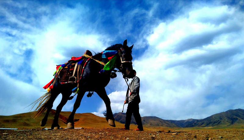 好消息！天祝被命名為“中國高原走馬之鄉(xiāng)”