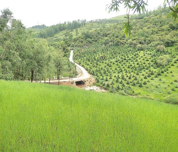 新民村的旅游夢(mèng)