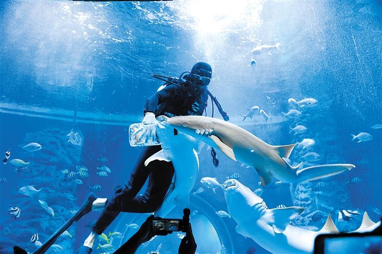 蘭州海洋公園 金昌火星1號(hào)基地 這個(gè)暑假我們“上天入?！?>
        </a><em>蘭州海洋公園 金昌火星1號(hào)基地 這個(gè)暑假我們“上天入?！?/em></li>
    <li><a  target=