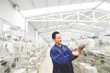 凝心聚力 并肩作戰(zhàn)——天津市薊州區(qū)與古浪縣東西部扶貧協(xié)作工作紀(jì)實