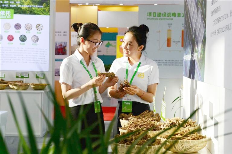 定西，從“千年藥鄉(xiāng)”邁向“中國藥都”