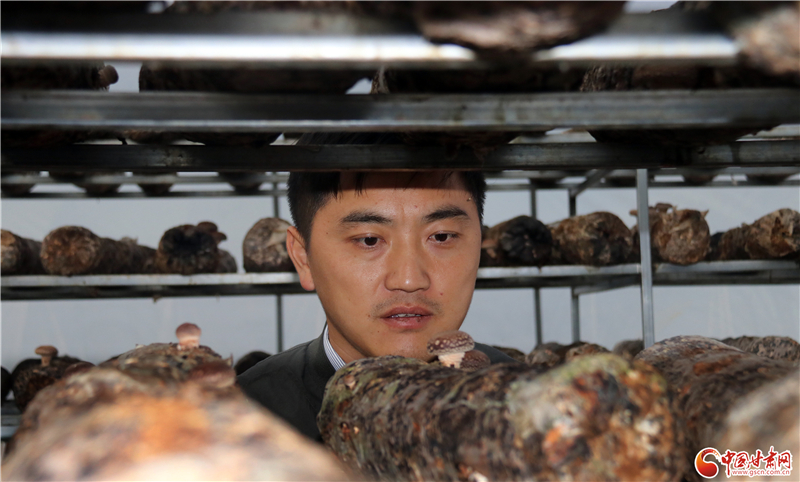 110年！何家溝村終于有了集體經(jīng)濟(jì)——中建二局黨建結(jié)對(duì)幫扶成效顯著