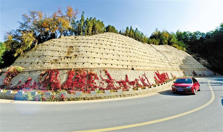 近90度陡坡上種樹！蘭州南北兩山綠化出新招