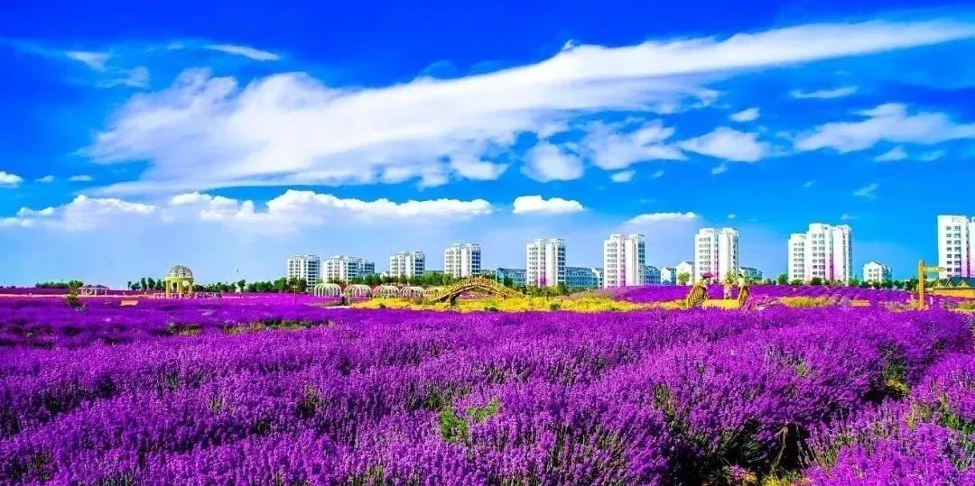 喜訊！金昌蟬聯(lián)全國文明城市