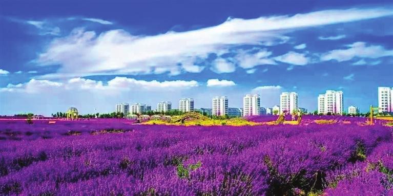 “三連冠”！金昌蟬聯(lián)全國文明城市