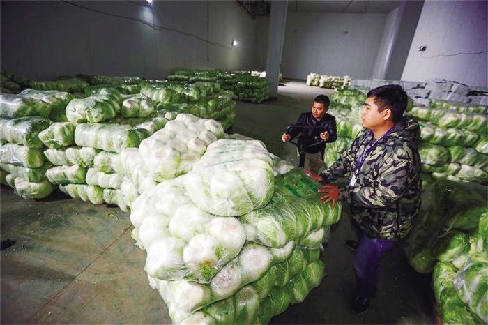 蘭州市已儲備1萬噸冬春蔬菜以耐貯存、易周轉(zhuǎn)品種為主