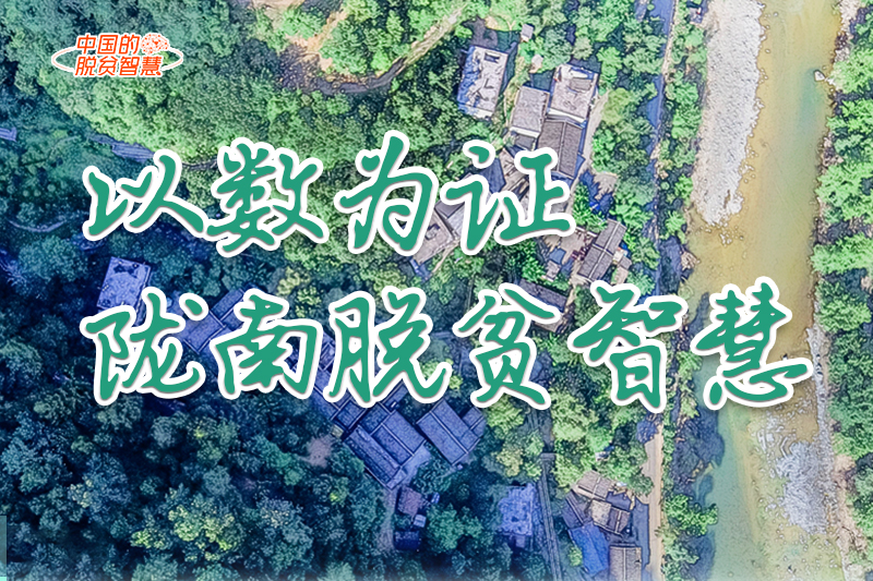 【中國的脫貧智慧】以數(shù)為證！隴南脫貧智慧來了！