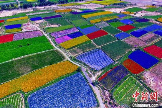 甘肅酒泉：除了天時地利，還有一“種”力