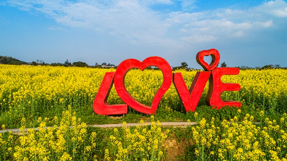 “l(fā)ove”創(chuàng)意拍照墻。廖濤 攝