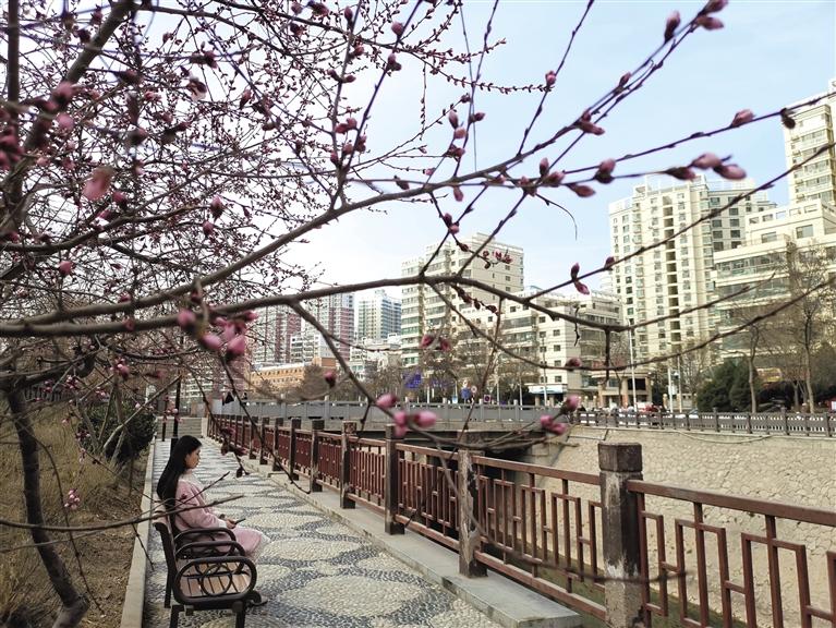 蘭州“第一朵花”開(kāi)了！