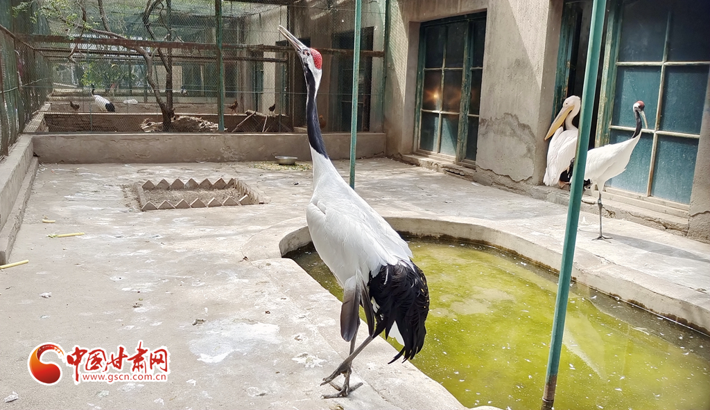 蘭州公安提醒市民：非緊急非必要，不出境