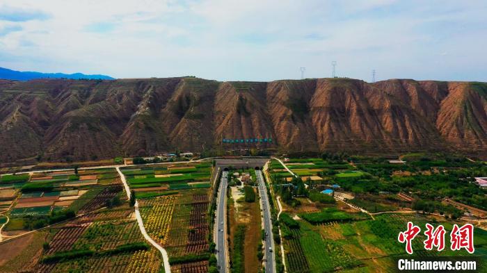 甘肅榆中造養(yǎng)結(jié)合十數(shù)年荒山改綠 野生動物常“露面”