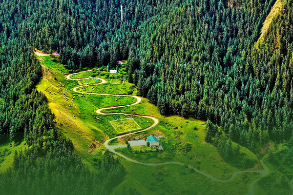 海報|祁連山保護區(qū)生態(tài)環(huán)境問題整改全面完成！