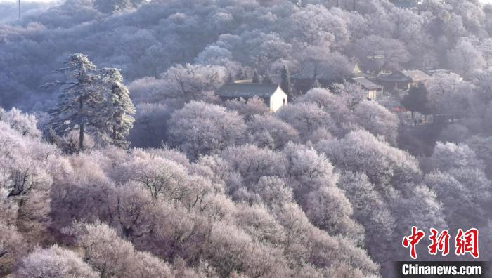 圖為霧凇美景?！⌒煺袢A 攝