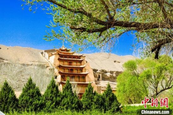 4月的敦煌莫高窟景區(qū)春意盎然。(資料圖) 王斌銀 攝