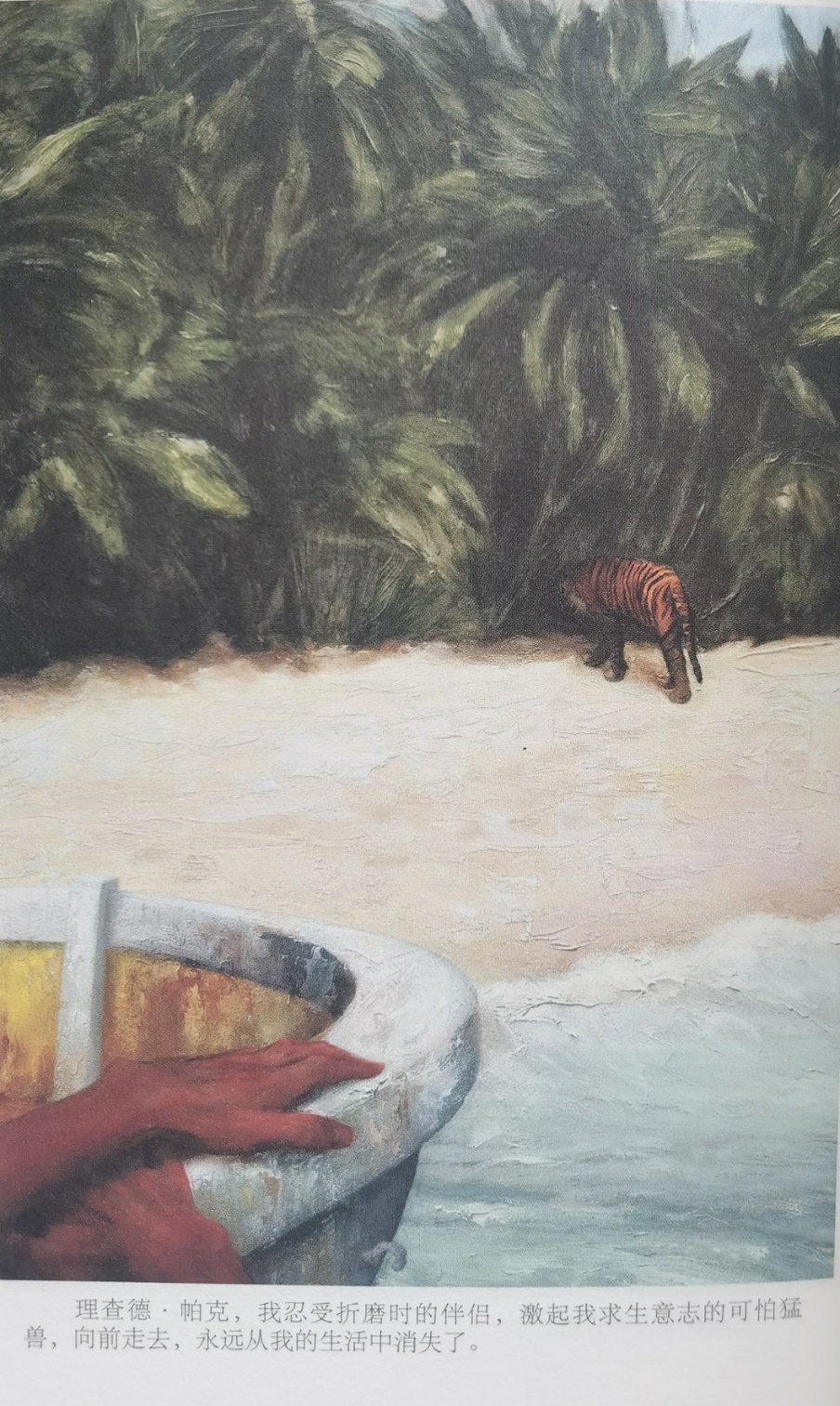 插圖3：揚(yáng)？馬特爾的小說《少年pi的奇幻漂流》插圖