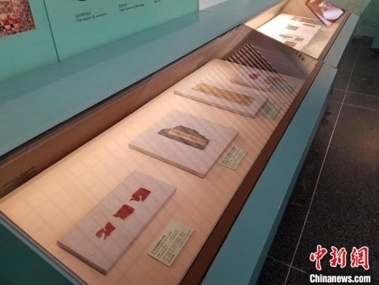 圖為展覽現(xiàn)場?！《鼗脱芯吭汗﹫D