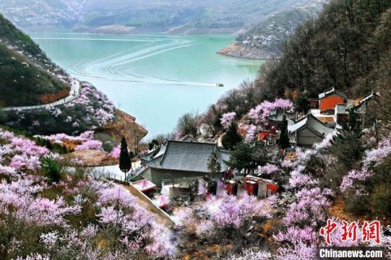 甘肅平?jīng)鍪惺侵袊鴥?yōu)秀旅游城市。圖為平?jīng)鲠轻忌较率锾一ㄊ㈤_。(資料圖) 平?jīng)鍪形麄鞑抗﹫D