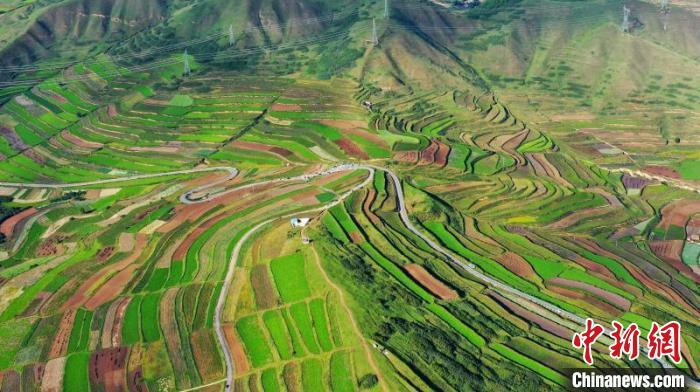 秋日里，榆中縣馬坡鄉(xiāng)千畝梯田，不同農(nóng)作物漸趨成熟，呈現(xiàn)出多種色彩，宛若大地的“調(diào)色盤”?！圆?攝