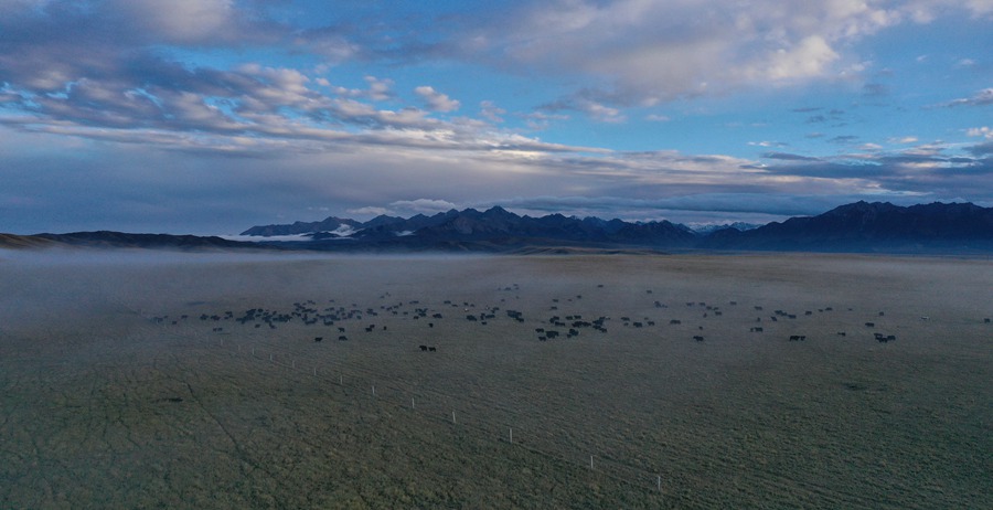 甘肅山丹馬場：峽谷云霧似仙境。 王超攝