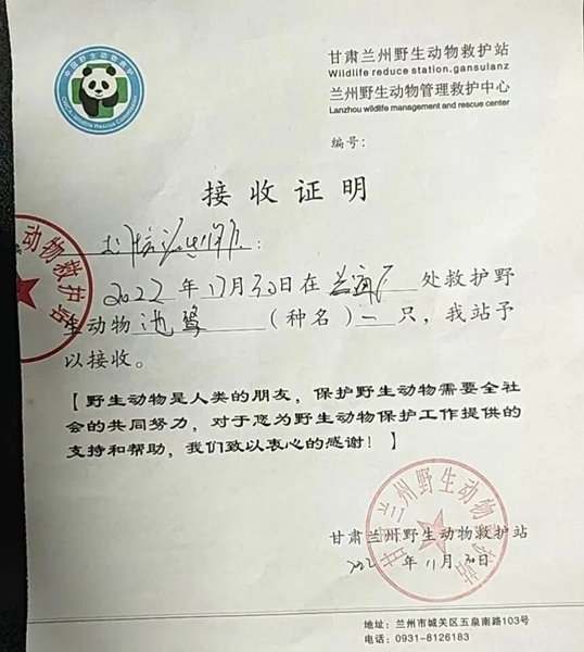 受到救助的池鷺被蘭州野生動物保護站接收。（蘭州市公安局七里河分局供圖）