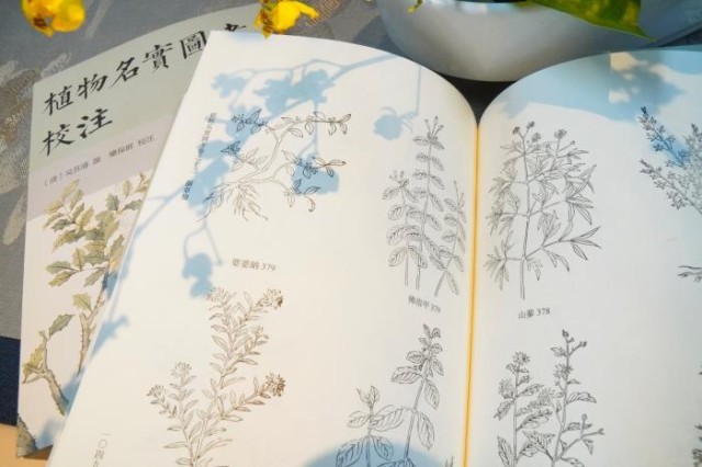 《植物名實圖考校注》內(nèi)頁。圖片來源：中華書局供圖
