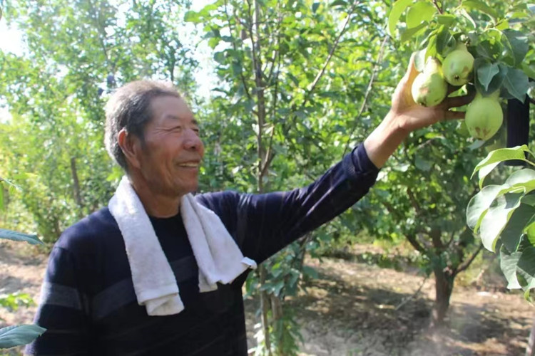 1672995899857134.jpg 22.jpg