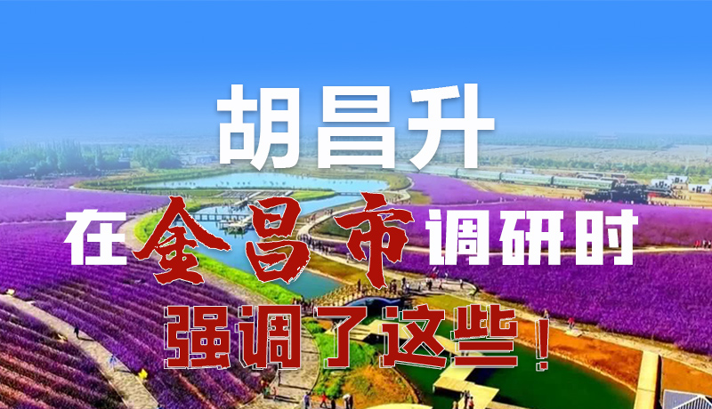 圖解|胡昌升在金昌市調(diào)研時強(qiáng)調(diào)了這些！