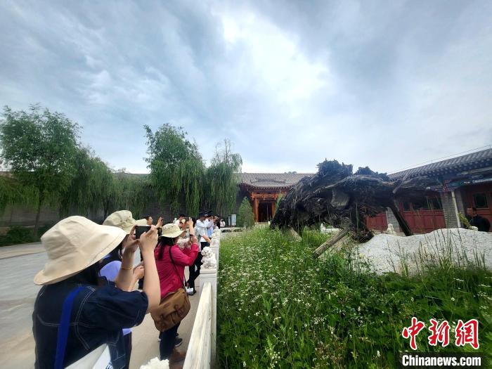 圖為媒體記者在青海永錄民俗參觀采訪?！⊙Φ?攝