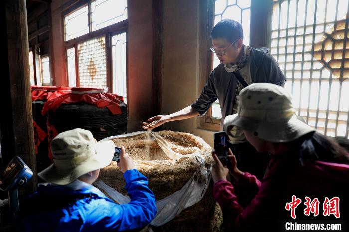 圖為青稞酒文化展示。　薛蒂 攝