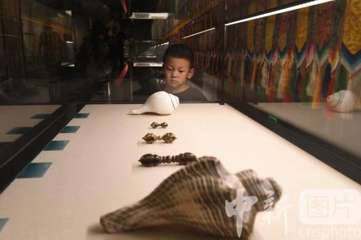 圖為展出的“白海螺法器”吸引小觀眾。 中新社記者 戴文昌 攝