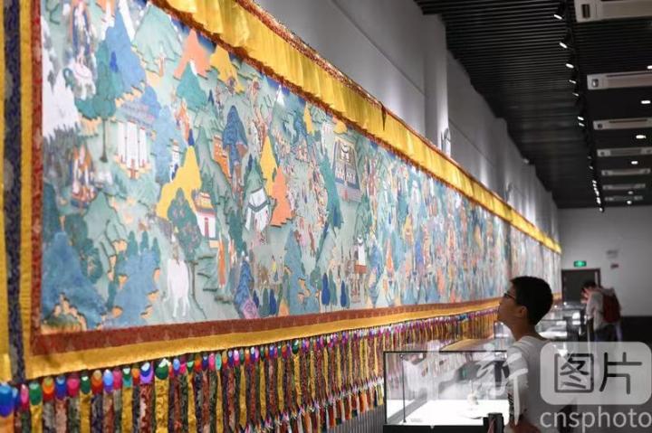 圖為一名小朋友觀看唐卡《涼州會(huì)盟》。 中新社記者 戴文昌 攝