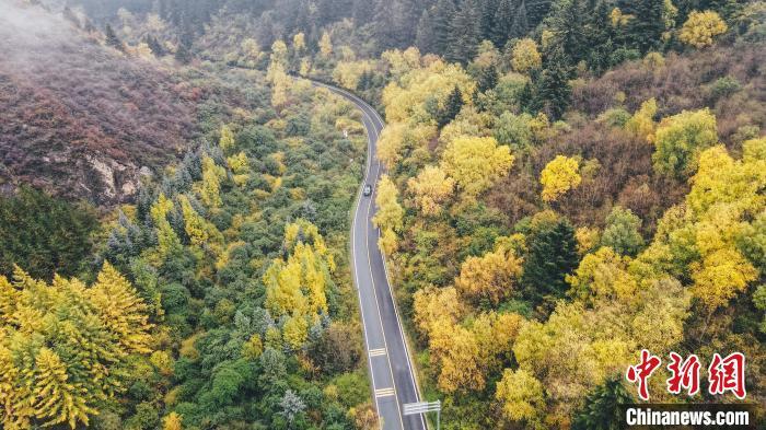深秋，航拍位于蘭州市榆中縣的興隆山，景色如畫。金峯 攝</p>
<p>