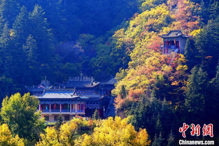 深秋，位于蘭州市榆中縣的興隆山景色如畫。宮衛(wèi)紅 攝