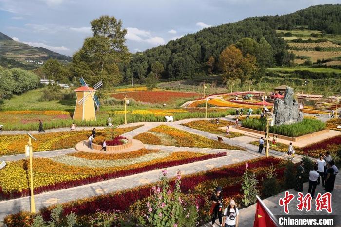 圖為航拍甘肅甘南臨潭縣八角鎮(zhèn)，花海吸引游人。(資料圖)高展 攝