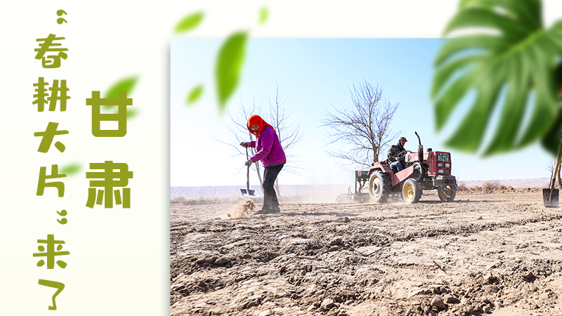 【甘快看】海報(bào)|瞧！甘肅“春耕大片”來了
