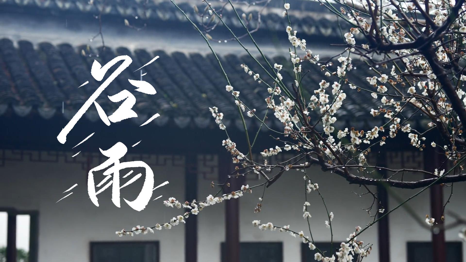 【節(jié)氣里的大美甘肅】谷雨，春天的最后一次回眸