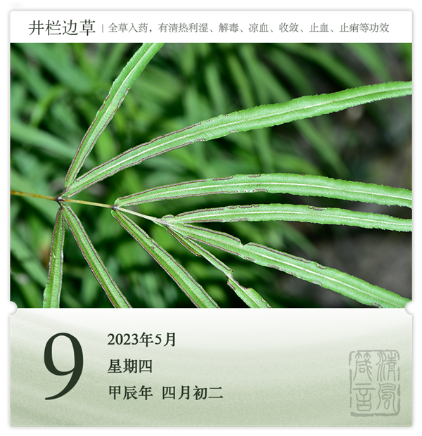 1715151448661475.png 箴歷日歷5-9.png