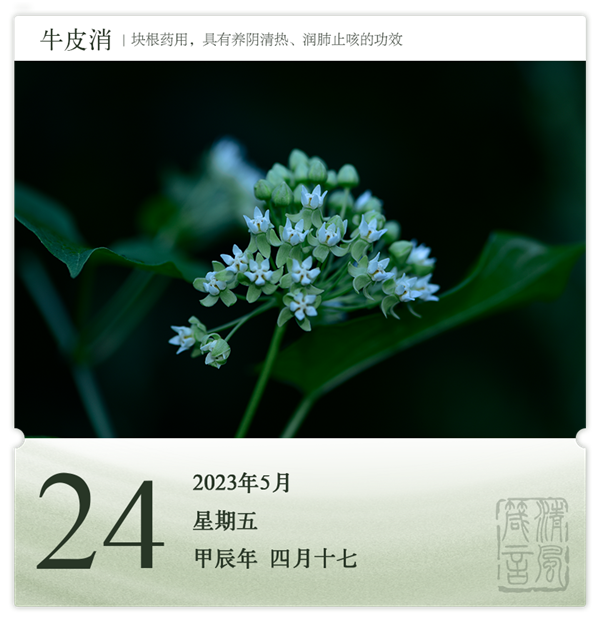 1714286271942063.png 箴歷日歷5-24.png