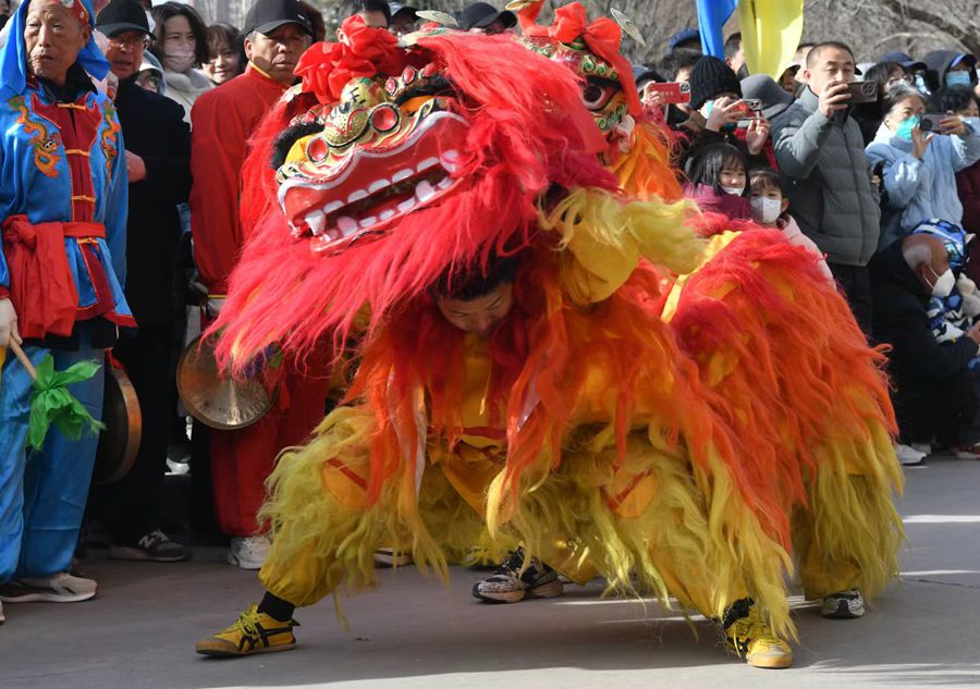 蘭州北獅表演現(xiàn)場(chǎng)。受訪者供圖