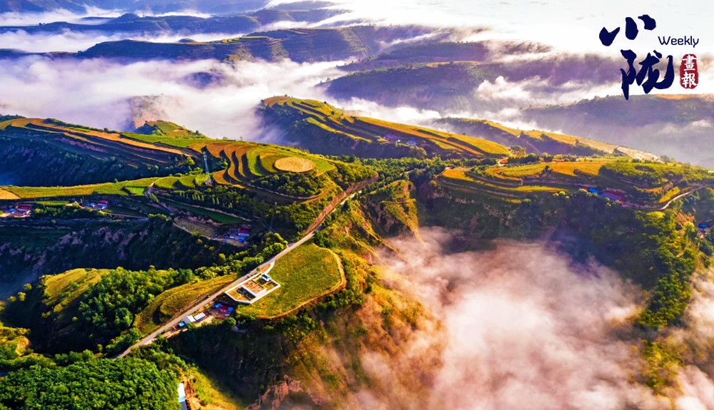 冬日華池黃土塬 色彩斑斕景如畫(huà)