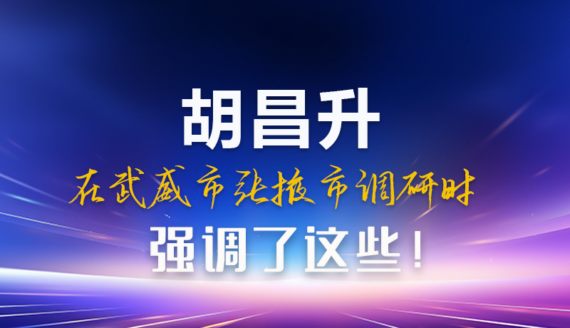 圖解|胡昌升在武威市張掖市調(diào)研時強調(diào)這些！