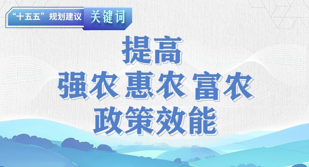 “十五五”規(guī)劃建議關(guān)鍵詞丨提高強(qiáng)農(nóng)惠農(nóng)富農(nóng)政策效能