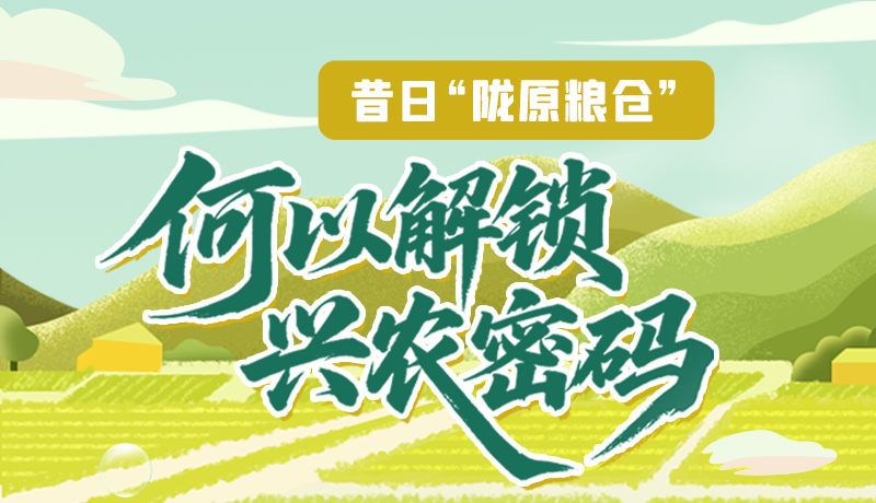【理響中國(guó)·話隴點(diǎn)睛（3）】昔日“隴原糧倉”，何以解鎖“興農(nóng)密碼”
